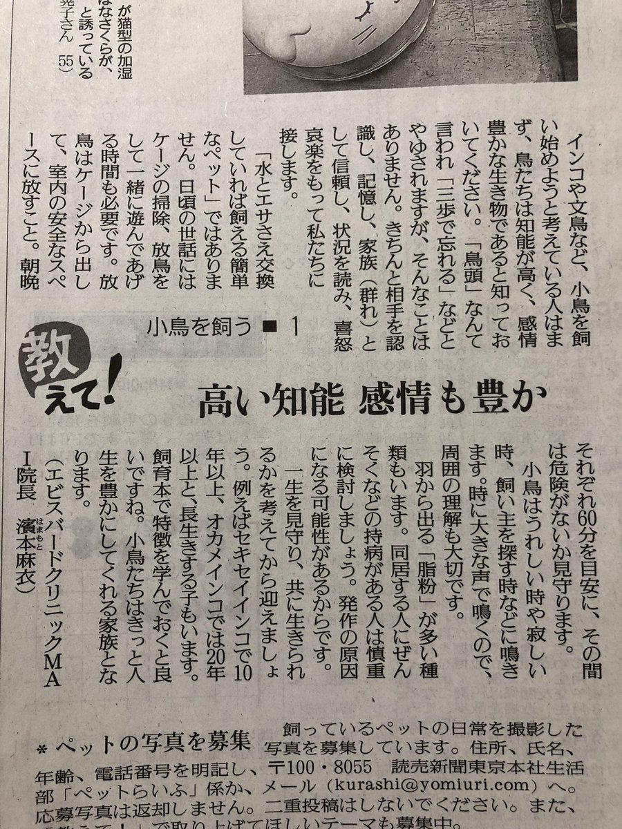 himeuzu's tweet photo. 読売新聞の週一連載のやつ、また鳥の記事きた
そーだそーだ！って声出た https://t.co/rM2AZV7iiw