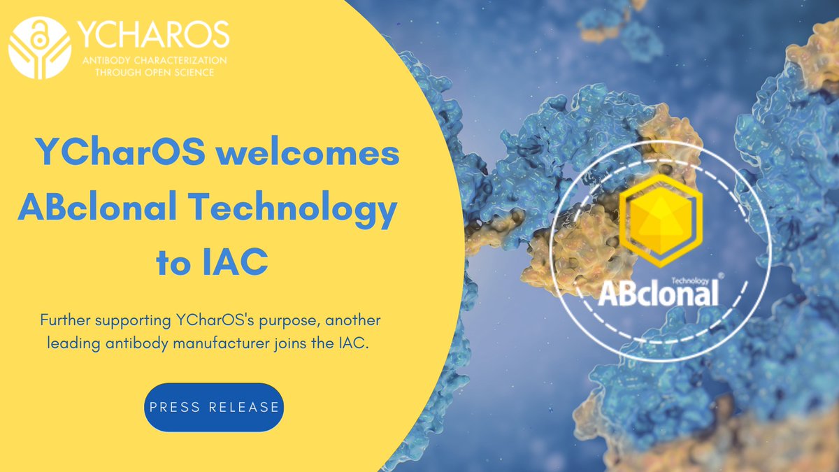 YCharOS1's tweet photo. Welcome aboard @ABclonal_USA!
Another leading #antibody manufacturer has joined the Industry Advisory Committee (IAC). We are thrilled to have them on our team and look forward to #characterizing their antibodies!
➡️https://t.co/lOnxUN1wH2
#openscience #reproducibility https://t.co/Qy5Q56kzSj