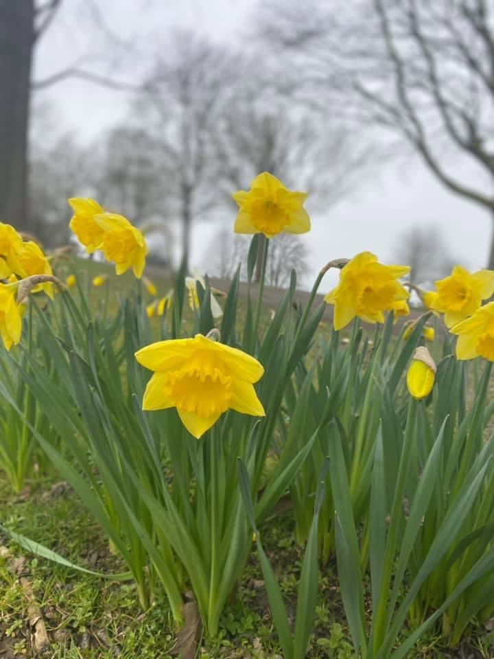 It finally feels like Spring is here.
⠀
With extreme weather conditions all over the world, it’s so important that we take small steps to make a difference and help the planet out. Together we can help avoid conditions that could change life on Earth as we know it!