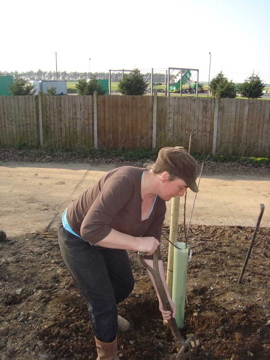 ControlTowerNC's tweet photo. 10 years ago we planted our first 10 fruit trees. This area of the garden was a large concrete yard. Now these keep us in compote and fruit for at least half the year.
🍎 🍐 🌳 😊
#controltowergarden #selfsufficiency #deferredgratification #onthemenu #growyourown #DigForVictory https://t.co/nsWYOcmPaJ