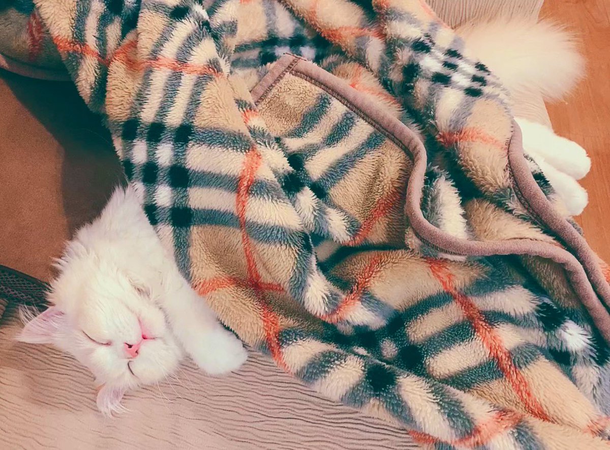 Zrv6h Rl2osz3m Zrv6h Rl2osz3m