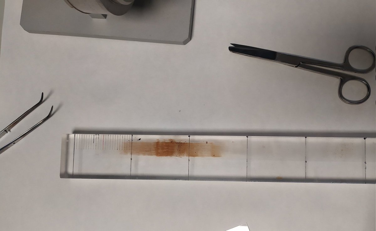 BiocloudUGR's tweet photo. Last week's #SaharanDust episode left some evidence of its presence in our #pollen-trap (📷 n°2 suggests that dust was at its highest on Tuesday afternoon) @GFAT_ugr @iista_es @CanalUGR 
Disclaimer: this instrument is not used to measure dust intrusions nor their characteristics. https://t.co/pjFfPwANm5
