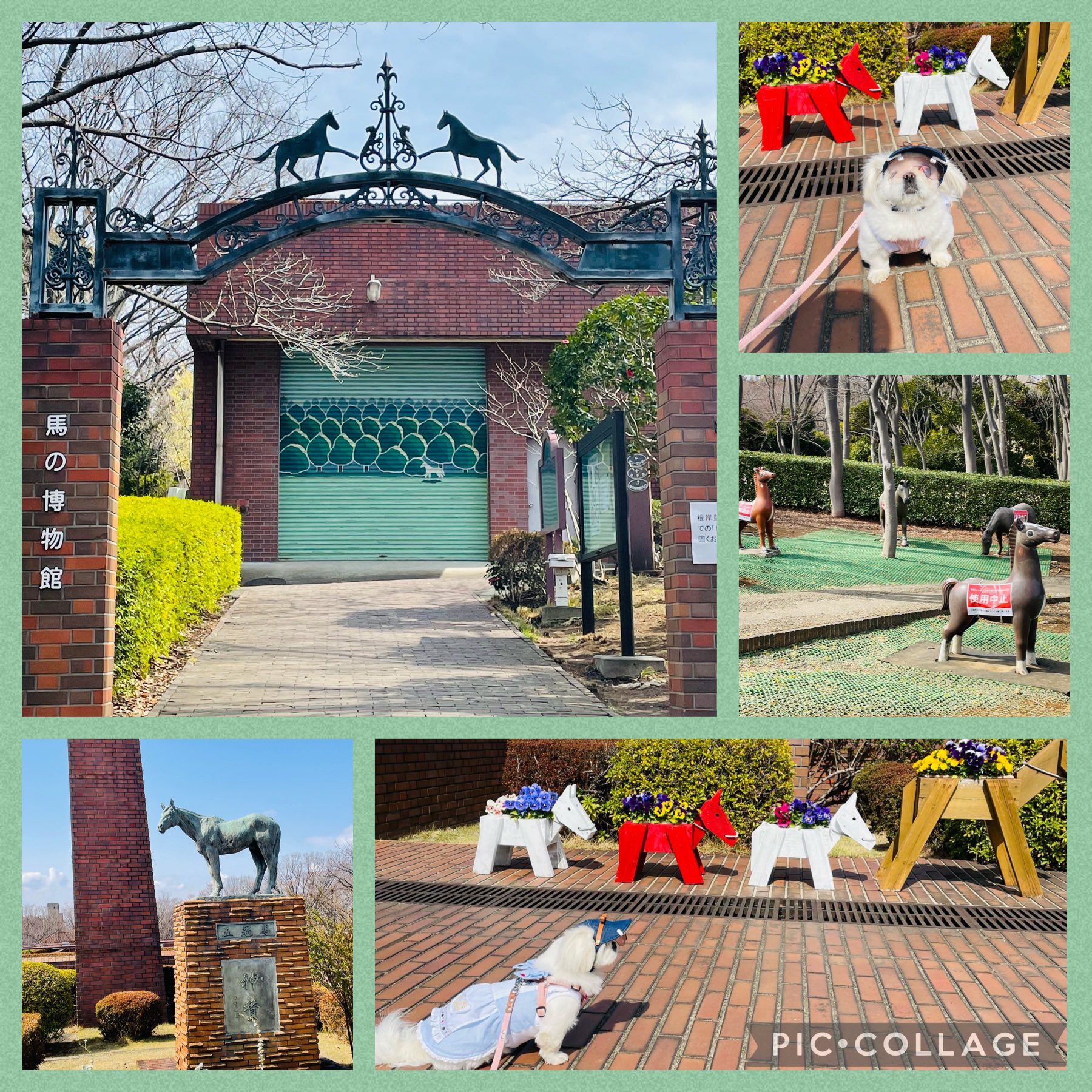 根岸森林公園 Twitter Search Twitter