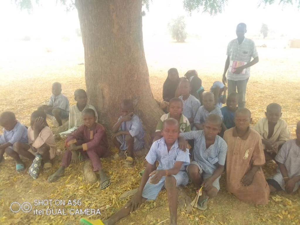 TrackaNG's tweet photo. SHOCKING!!!

In a govt primary school in Gombe, children are sitting under a tree shade/zinc shed to learn.

They also miss out on a full term as they can't go to school during the rainy season. @HonVMD 

Read the story here:👇

https://t.co/dECasJPjRz https://t.co/hpllGTIT5e