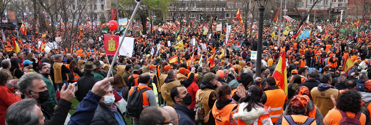 Madrid, ayer, se vistió de campo.
El campo y la caza estuvieron ayer en Madrid. Fueron más de 500.000 los manifestantes que hubo. Y lo hicieron, además, con un sentido cívico que es un ejemplo para todos.
