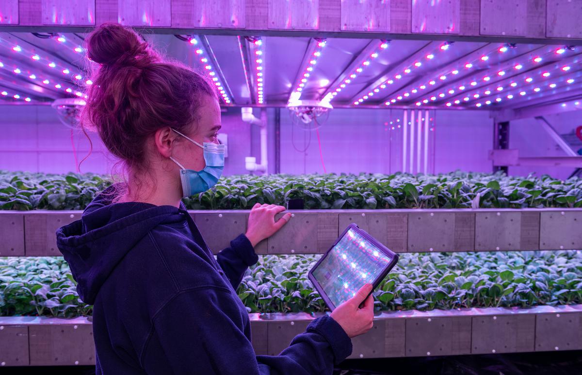 scotent's tweet photo. Alongside our international arm @ScotDevInt we're pleased to support @scotgov's Tech Sector Export Plan.

With our Hydrogen and Climate Tech Days #Expo2020 this week, this is a great example of how we help Scottish companies trade overseas 🌍🏴󠁧󠁢󠁳󠁣󠁴󠁿

https://t.co/yIfWxTBY6n
#Exporting https://t.co/P5uBT3CCoI