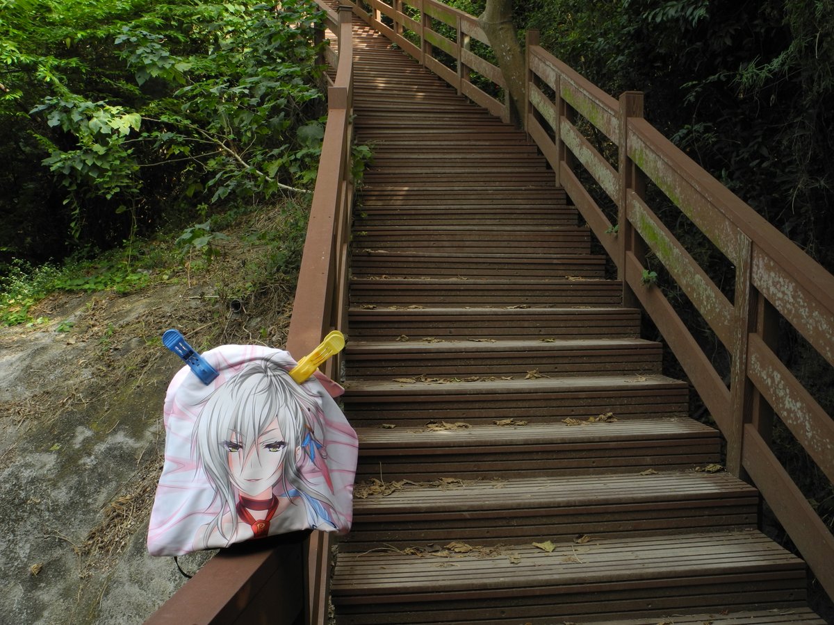 zxc33010's tweet photo. 外拍 彌陀區
漯底山自然公園
天海雪乃老師,繪畫尽神きつね
#つよきすFESTIVAL #CandySoft #御苑生メイ #高雄市 #彌陀區 https://t.co/SjPy4NGr4M