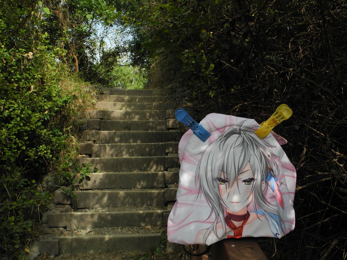 zxc33010's tweet photo. 外拍 彌陀區
漯底山自然公園
天海雪乃老師,繪畫尽神きつね
#つよきすFESTIVAL #CandySoft #御苑生メイ #高雄市 #彌陀區 https://t.co/SjPy4NGr4M