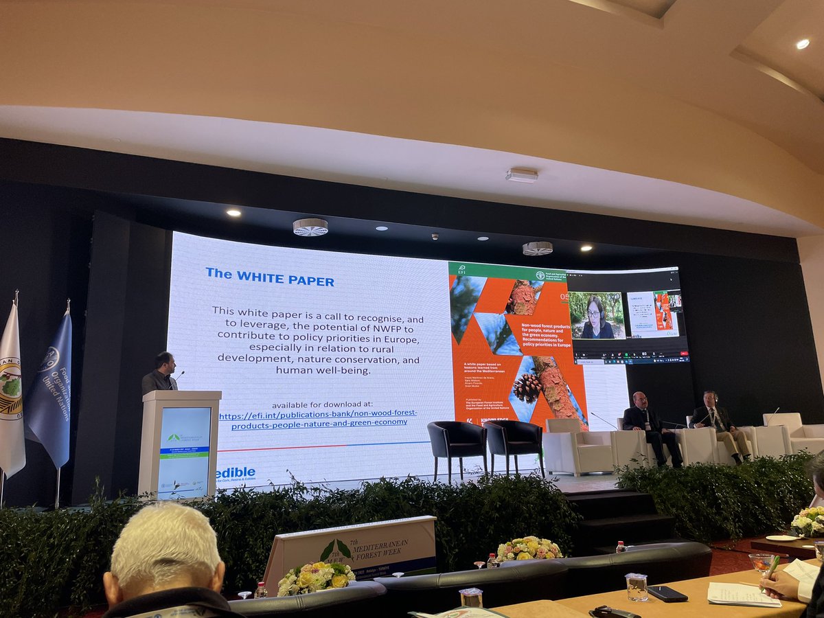 Magda BOU DAGHER tweet media