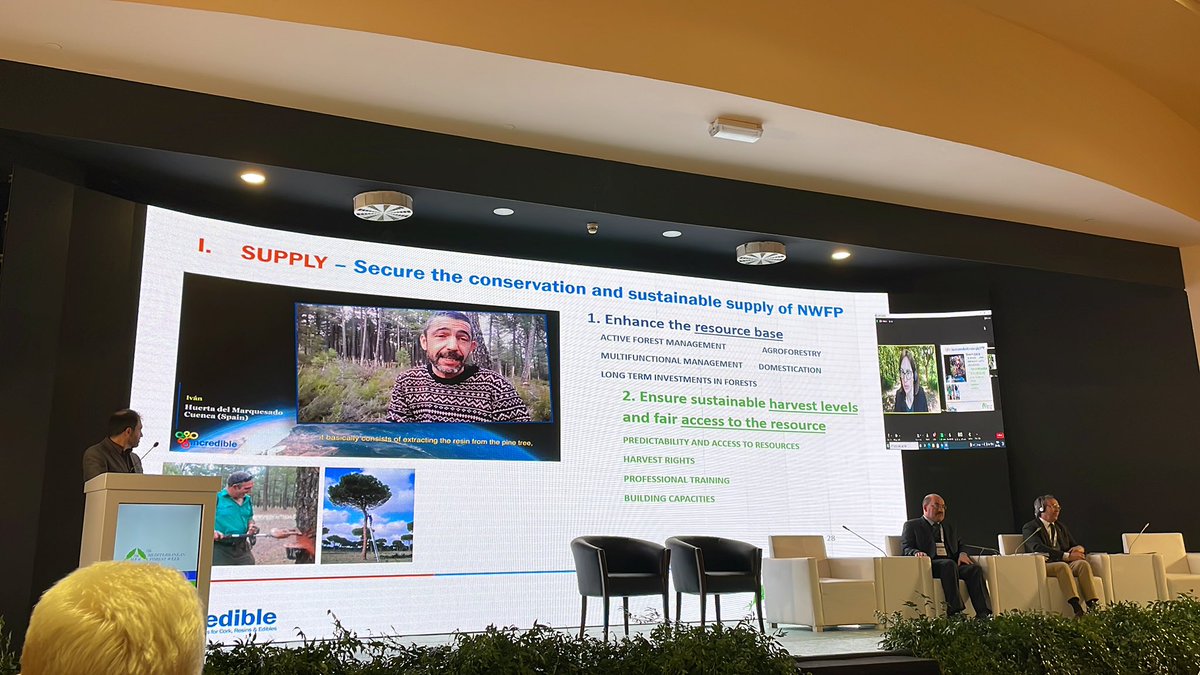 Magda BOU DAGHER tweet media