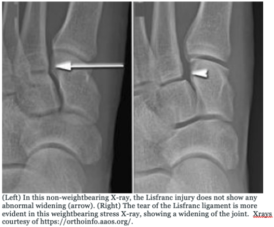 Michael Fishman tweet media