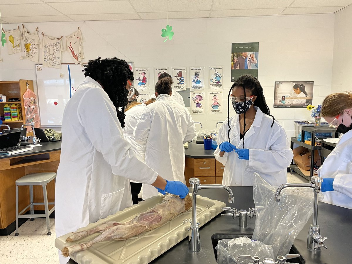 DevonJacob2010's tweet photo. Mrs. Barrett is providing a hands on experience to her DTCC A&amp;P class as students participate in a cat dissection. @MiddletownHigh @jlahutsky @AmandaM_Conley https://t.co/lrXdcvmu5o
