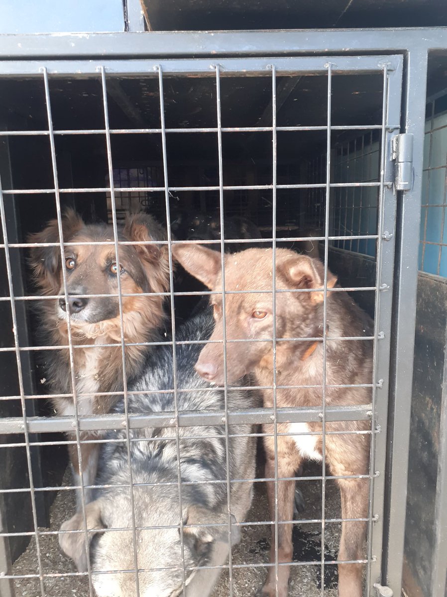 ROLDA Org tweet media