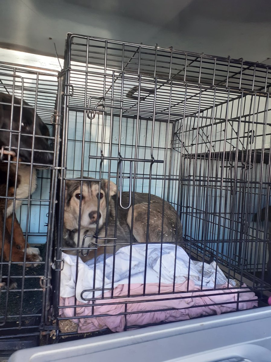 ROLDA Org tweet media