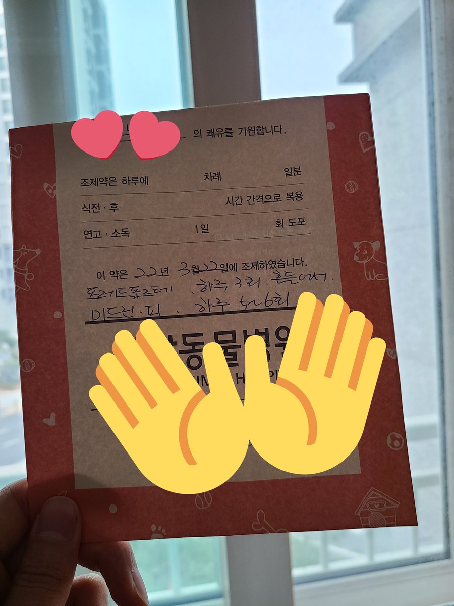 Hanul_Jwa's tweet photo. 세상시발슬픔 내새끼 오른쪽 눈 실명.. https://t.co/qRAoAY3FqP