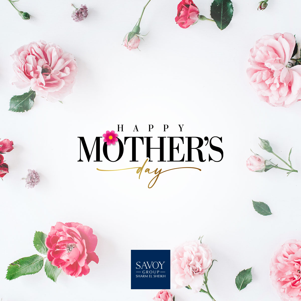SavoyGroupSharm's tweet photo. Happy Mother’s Day to all the amazing mothers out there.
#SavoyGroupSharm #HappyMothersDay #RedSea https://t.co/M5Nmx36iW5