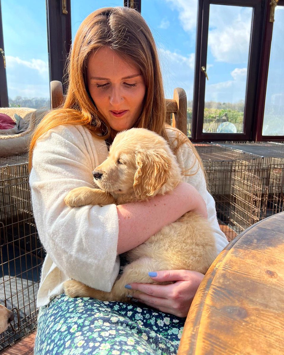 Molly Fensome-Lush tweet media