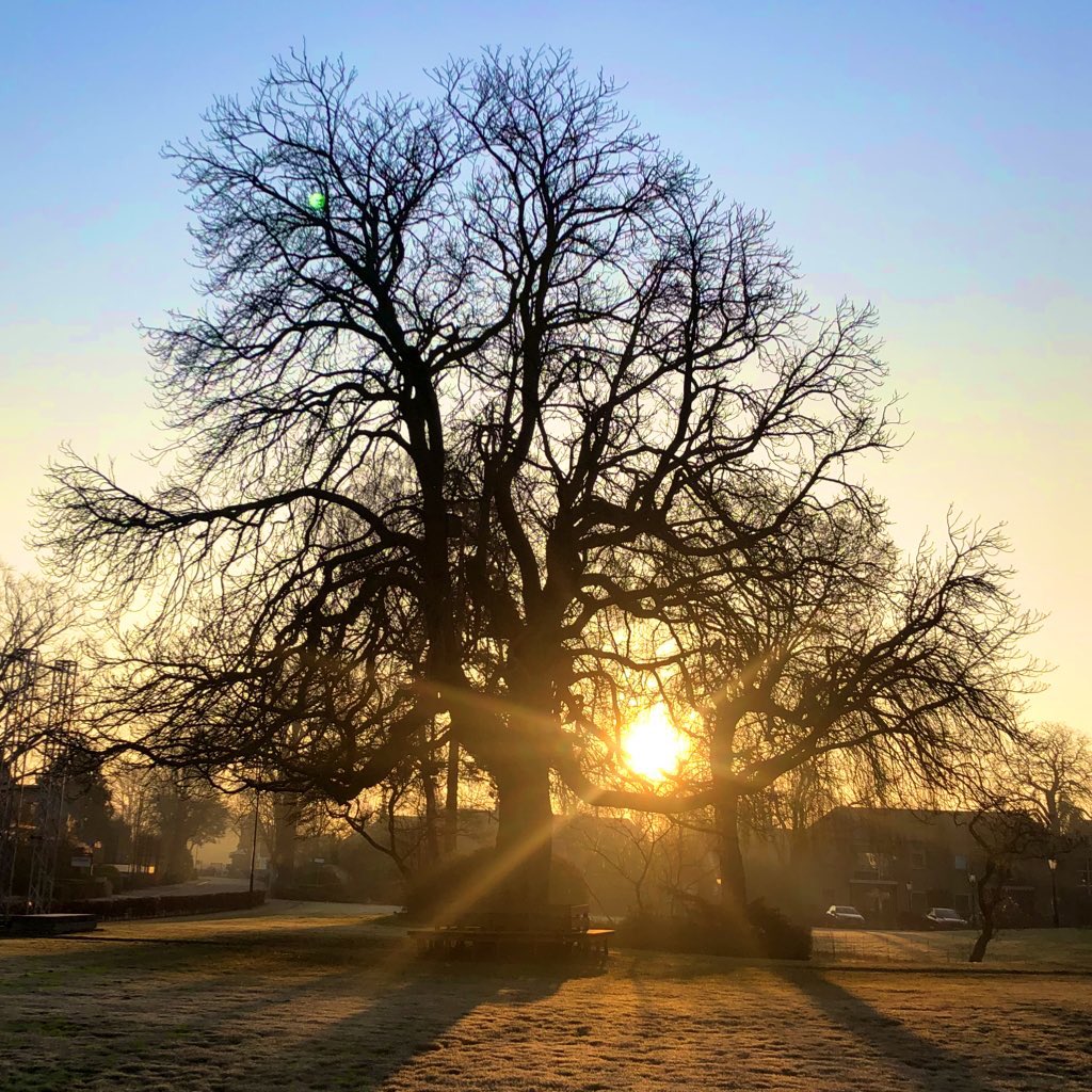 “De vogels zoeken naar zingen, de bomen naar begin van groen, de dagen gaan geluk van zonlicht vermoeden!”🙏🏻
#worldpoetryday #wereldgedichtendag #poeziedag  

(Gedicht van Gabriël Smit via LaurensJzCoster; iedere werkdag een gedicht)
