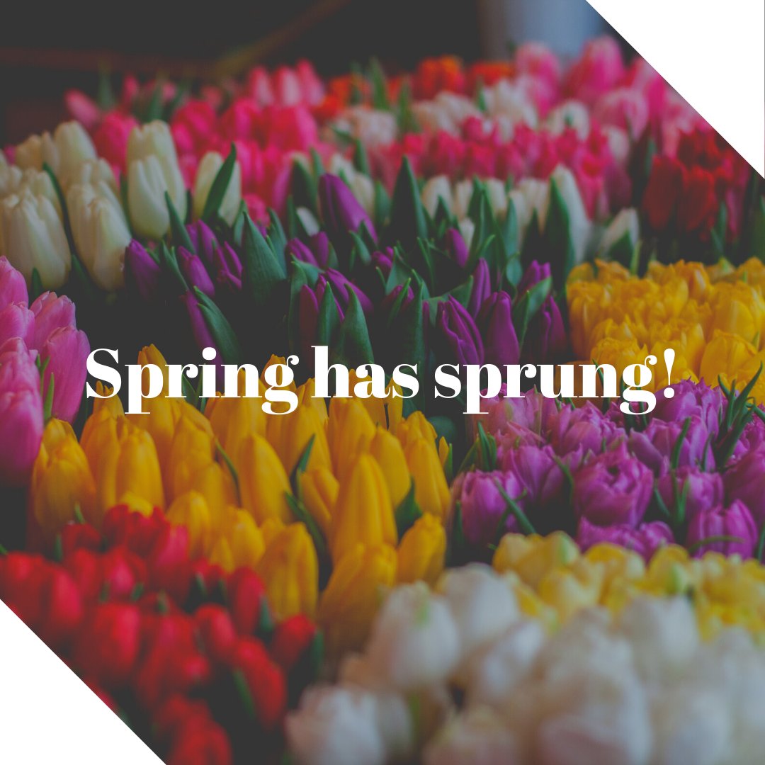 Things are looking up!

☀️ The days are getting longer and the weather is getting milder.

Who is looking forward to long, warm summer days?

#PrestonMarkets #ShopLocal