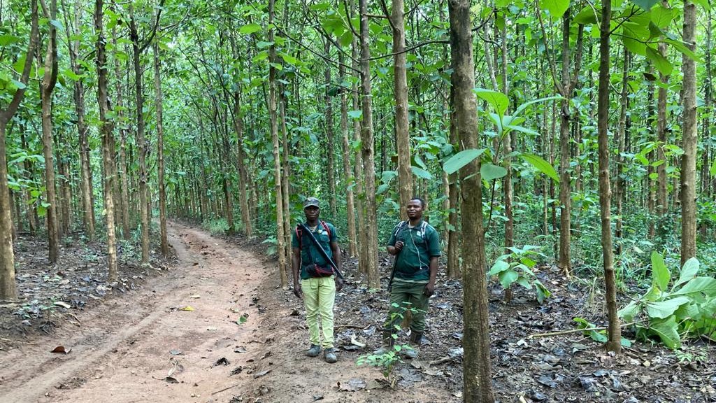 Mere Plantations tweet media