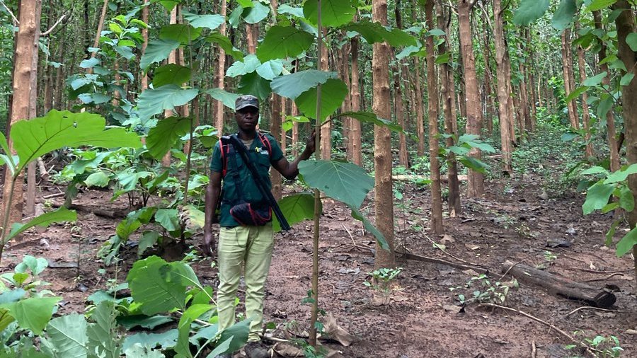 Mere Plantations tweet media