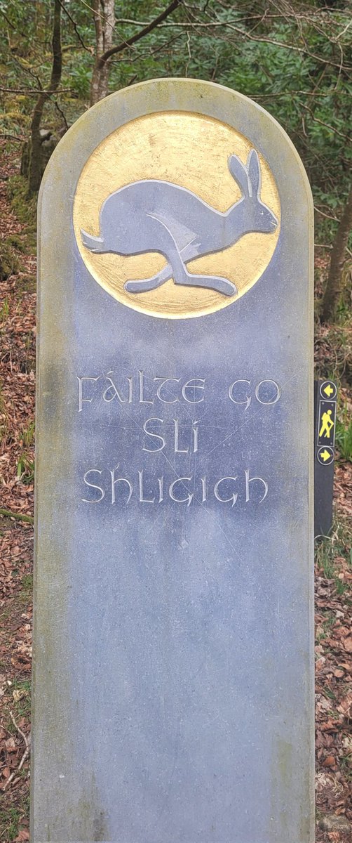 macgabhann31's tweet photo. Some more of #slighted #sligo #lovesligo #WildAtlanticWay #wildatlanticwaypicts https://t.co/ZlcErFkLZp