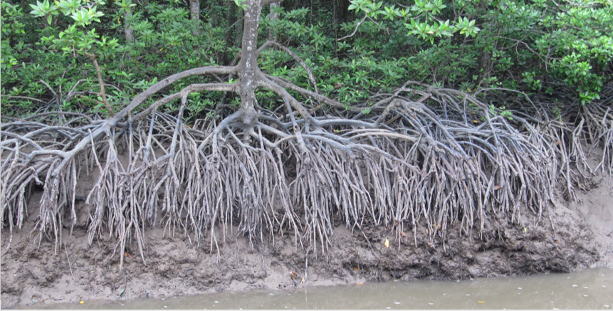 Paris Soil organic matter research Group tweet media