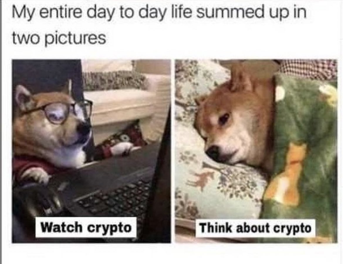 AshCrypto's tweet photo. This is so true lol ! https://t.co/E56SqlYblw