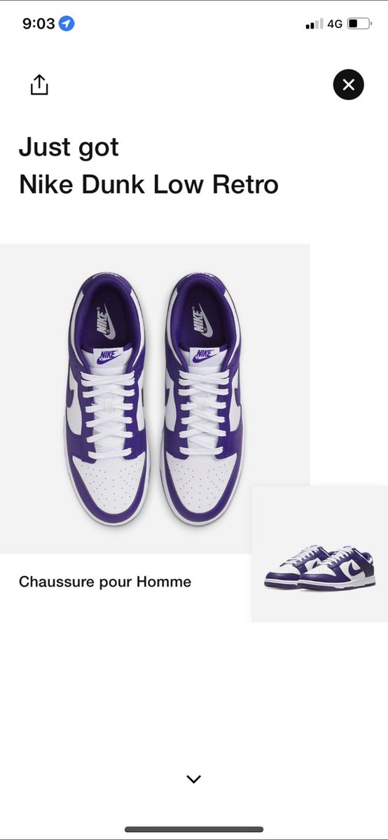 Totorino tweet media