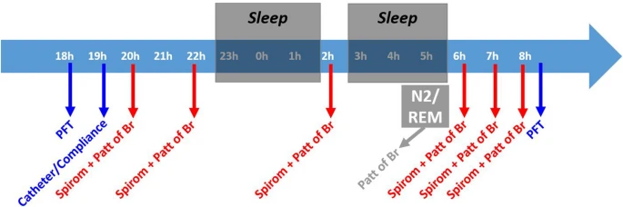 EJAP_official's tweet photo. Compensatory responses to increased mechanical abnormalities in COPD during sleep. @NicolleDomnik &amp; Denis E. O’Donnell. #COPD #BeathingMechanics #NeuralDrive https://t.co/2P61ipyoDa https://t.co/55A5I6FOIH