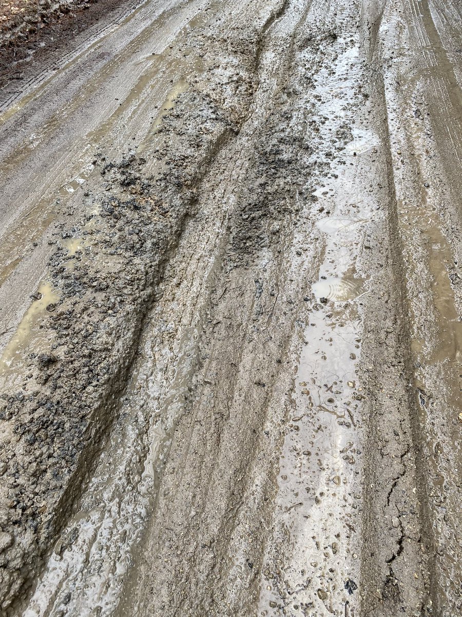 A special time of year in Maine