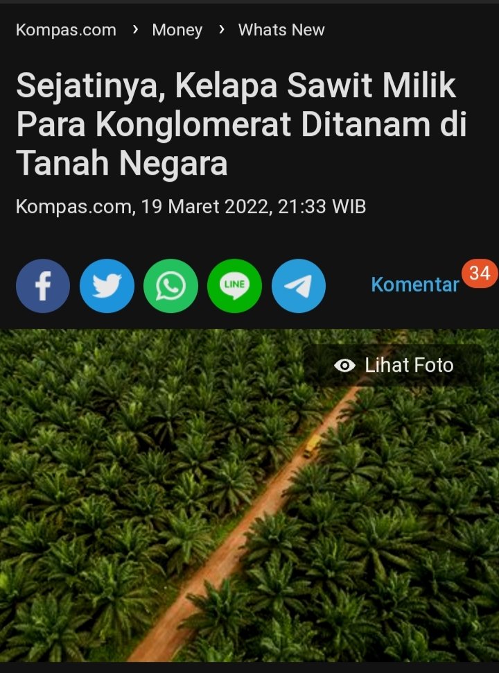 Pengejawantahan UUD 1945 Pasal 33, di mana bumi dan kekayaan di dalamnya bisa dipakai sebesar-besarnya demi kemakmuran rakyat, diantaranya dengan terbitnya aturan HGU.
#IstanaSarangMafia 
#KamiBersamaHarisFatia