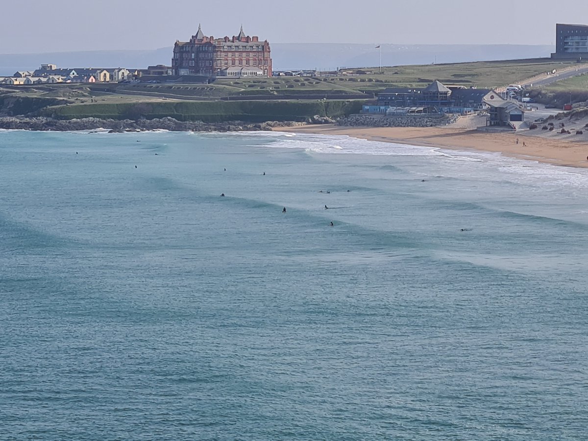 Ian Gough🌸 tweet media