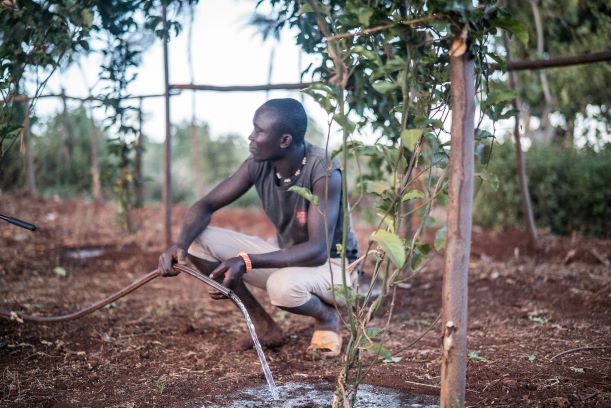 Sécurité alimentaire et protéines végétales : suite au #SommetUEUA, appel à projet ONG ouvert pour les pays de la Grand Muraille Verte dont l’Ethiopie jusqu’au 18/04/22. @AFD afd.fr/sites/afd/file…