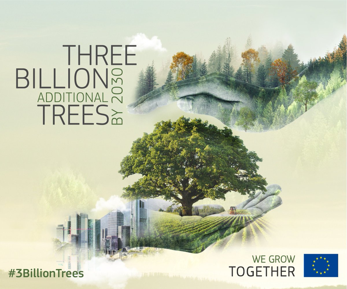 🌲 The right tree
🌳 The right place
🌲 The right time
🌳 The right purpose

This #IntlForestsDay, we call on all Europeans to join our pledge to plant #3BillionTrees in 🇪🇺 by 2030

#ForNature and healthier #EUForests 🌱

Find out how you can participate: europa.eu/!QMhCm3