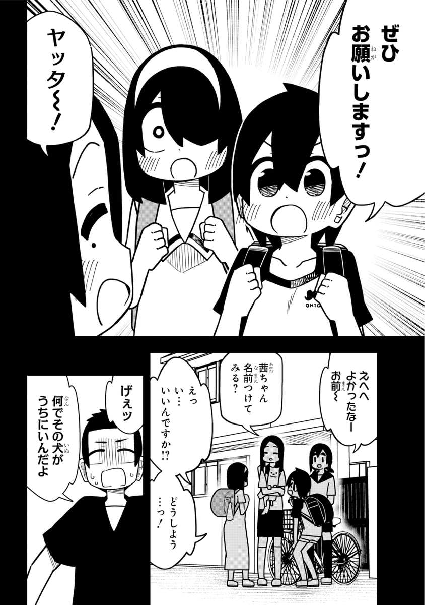 (2/3) 