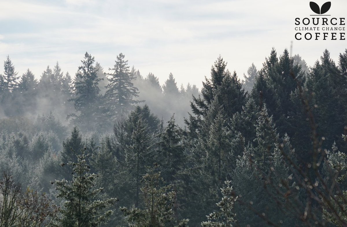 SClimateCoffee's tweet photo. Today on #InternationalDayofForests we celebrate the important role they play for the 1.6 billion people that depend on them for food, shelter, energy, medicines and income. Given the need to #protect them, it’s no surprise that today is also #WorldTreePlantingDay! 🌳 https://t.co/IKCqUJU3WN