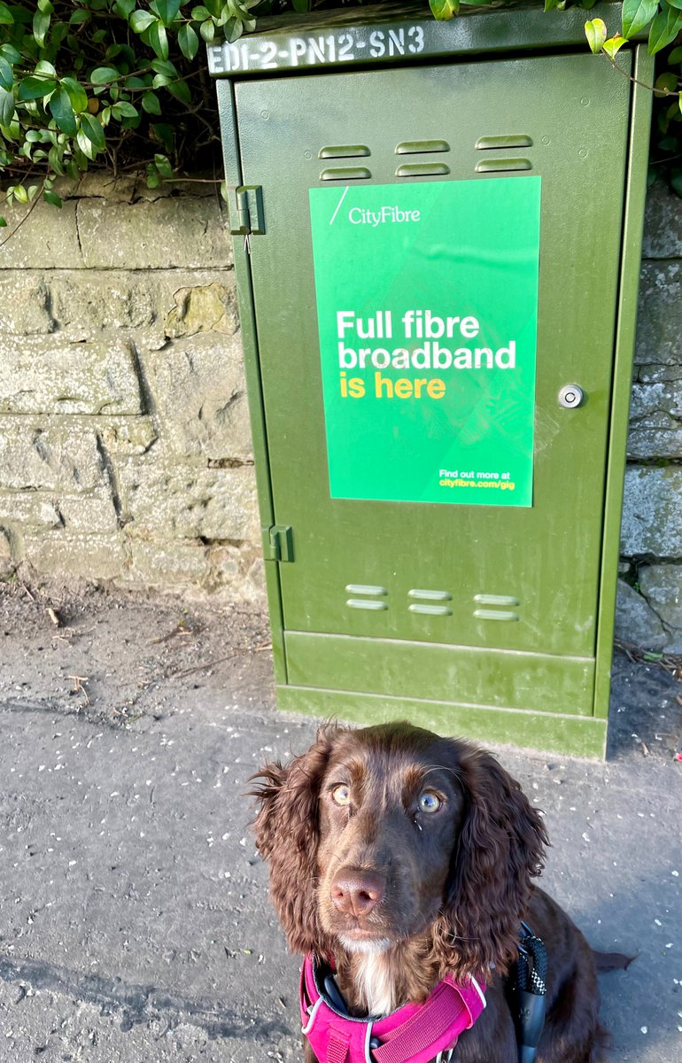 Have you spotted <a href="/CityFibre/">CityFibre</a> near your office? 

Find out more here ➡ ow.ly/VSJo50IikuH