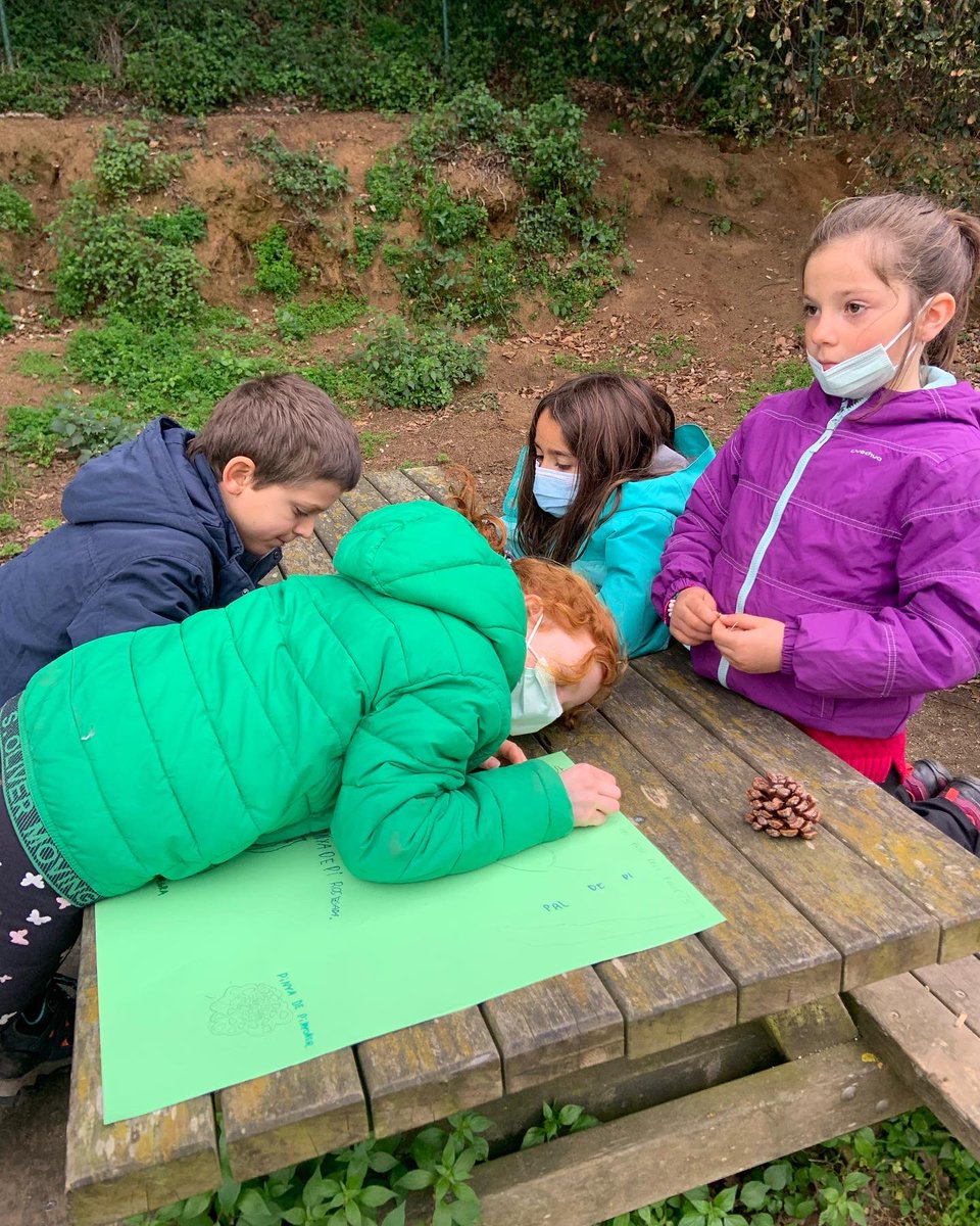 AE_Montcabrer's tweet photo. Aquest dissabte les follets 🧚🏻 vam completar el nostre catàleg del bosc! Fa un parell de setmanes vam anar a recollir les peces del catàleg al bosc i el dissabte les vam ajuntar ��🪵🌻 També vam jugar a un parell de jocs de la caixa 🎁 per arrencar la tarda amb energia ⚡️ https://t.co/asD0jIkPhC