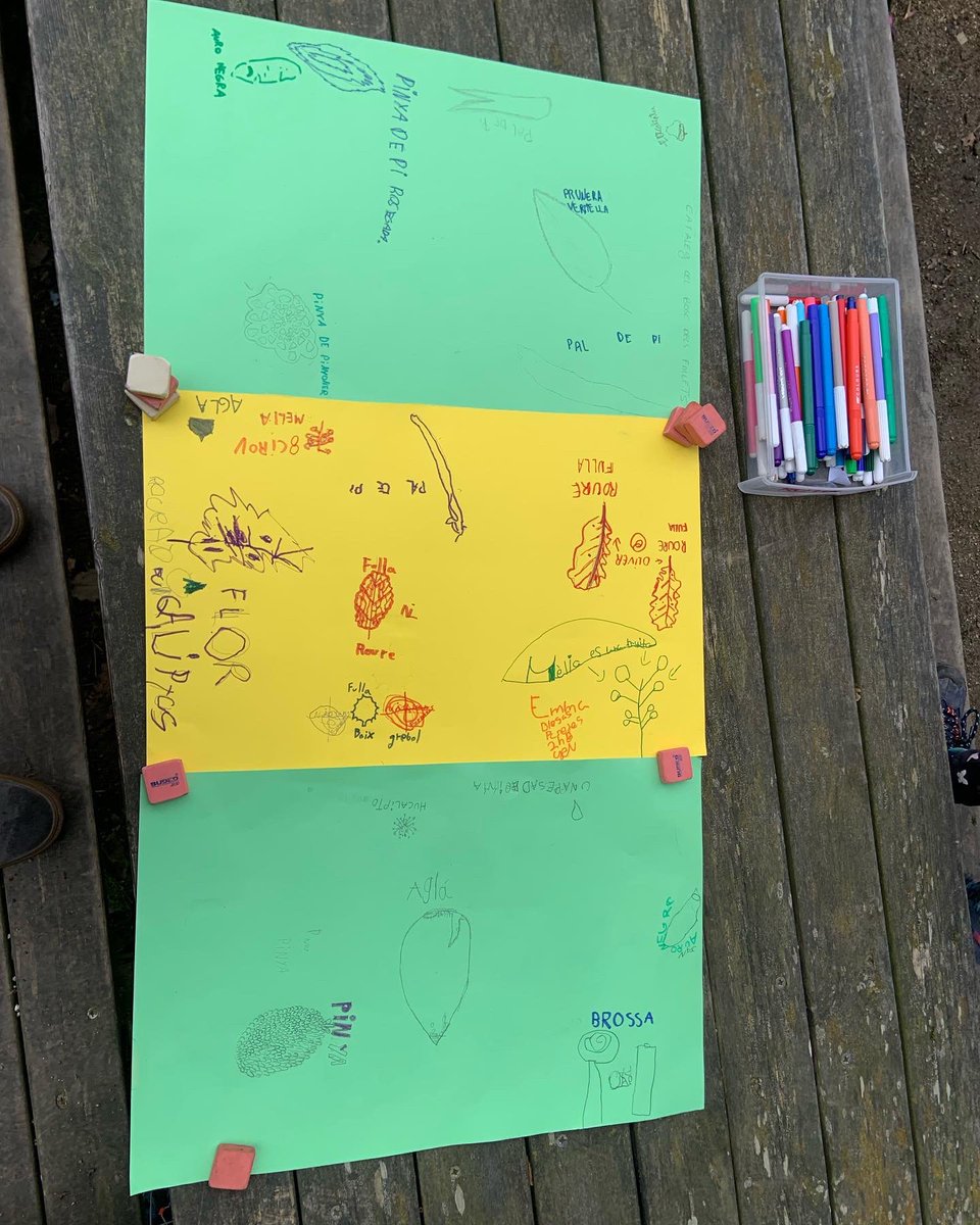 AE_Montcabrer's tweet photo. Aquest dissabte les follets 🧚🏻 vam completar el nostre catàleg del bosc! Fa un parell de setmanes vam anar a recollir les peces del catàleg al bosc i el dissabte les vam ajuntar ��🪵🌻 També vam jugar a un parell de jocs de la caixa 🎁 per arrencar la tarda amb energia ⚡️ https://t.co/asD0jIkPhC