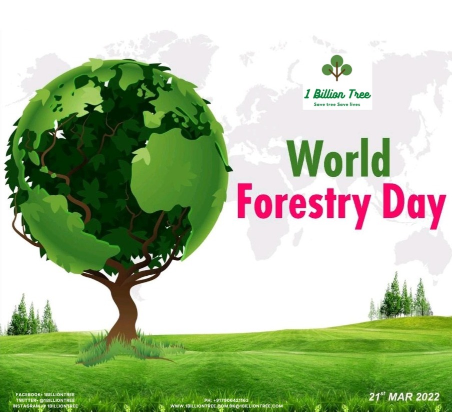 1billiontree's tweet photo. Happy World Forestry Day #WorldForestDay #climatechange #greenindia #GlobalWarming @AnkitKumar_IFS @ParveenKaswan @pargaien @moefcc @UNDPClimate @MPsantoshtrs @CentralIfs @1billiontree https://t.co/XnTPNk5o7O