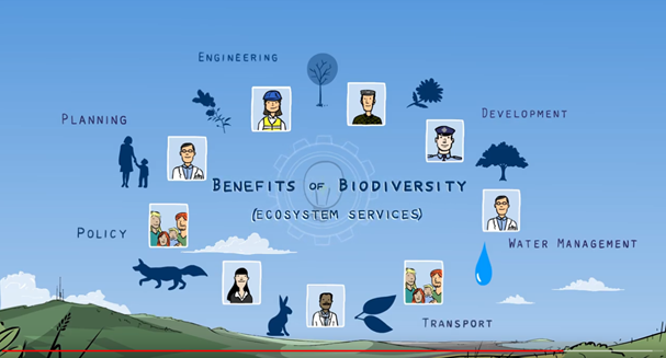 InterregPROGRE1's tweet photo. WATCH this great explainer video on benefits of #biodiversity and #ecosystemservices and how to boost them. Developed by Dún Laoghaire-Rathdown County Council @dlrcc, our NEW PARTNER @InterregPROGRE1 @EMRAssembly in Ireland. Check it out! @interregeurope https://t.co/r22XQrp7hD
