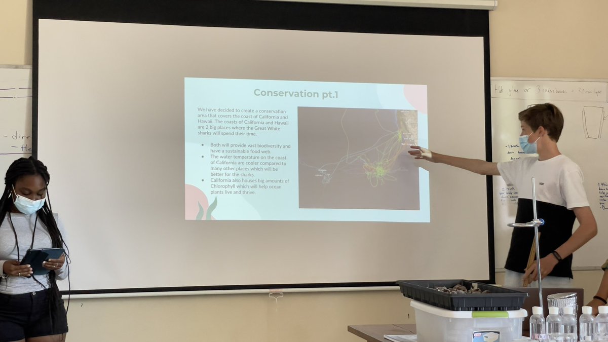 Gr8 ss evaluate the potential benefits of a white shark conservation area based on data. Amazing that they identified the Farallon islands as the location for their proposed conservation area. #ngss #inquiry @AISMmoz #marinebiology #pbl