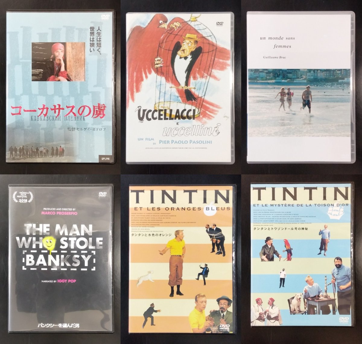 タンタンと水色のオレンジ DVD 廃盤 Yahoo!オークション - DVD