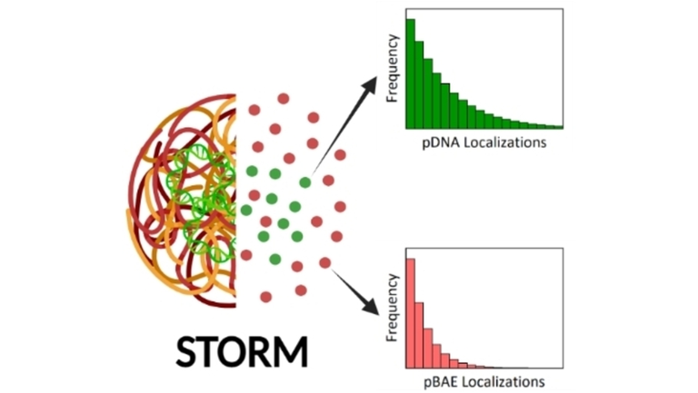 ChemMedChem tweet media