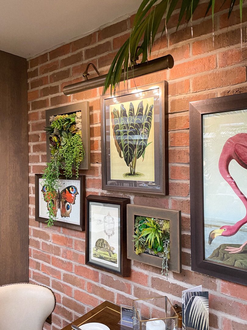 zspaceuk's tweet photo. Framed Plants! A different way to display greenery in your space and a great addition to feature on your wall 🌿🤩

#interiordesign https://t.co/F9lBnCCjqL
