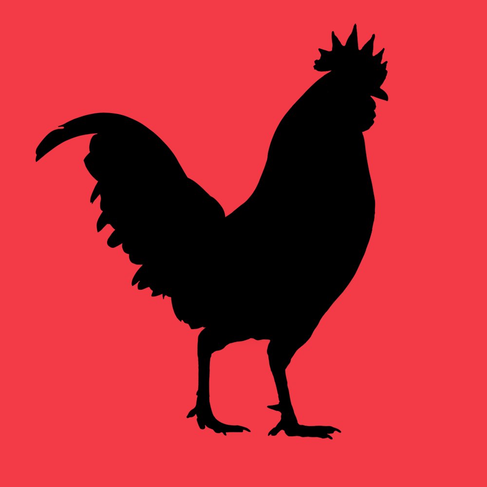 chikn_nft's tweet photo. Roostr is coming 🐔 

The most anticipated AVAX NFT of 2022

Roostr NOW minting April 14th 🥚 

Only at https://t.co/Xr3OpDerdR

Follow us on Twitter to stay up to date https://t.co/lJ3jcZFoL6