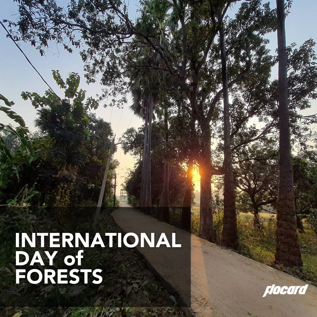 flo_card's tweet photo. Every aspect of human life is connected to the forest. Forest's #Sustainable management is crucial as it contributes to all 17 SDGs...https://t.co/fyc0XRXjn3
This #WorldForestDay be a catalyst for change by making your free FloCard at https://t.co/XCKbEp3cFi now https://t.co/67UI9Qt3Et