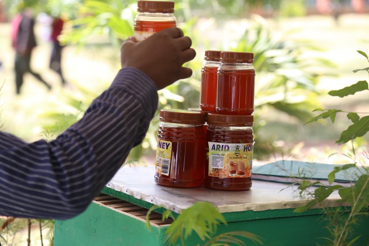 KENAFF is keen on including the youth in her KENAFF Farm forestry and Afforestation Programme (2021 - 2030). Through the programme, the federation seeks to promote the establishment of the youth-led network of tree nurseries, where farmers will be able to source seedlings.