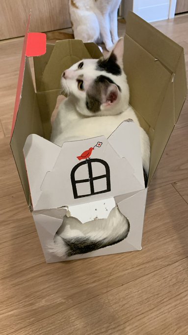 Twitterのコスプレ画像20